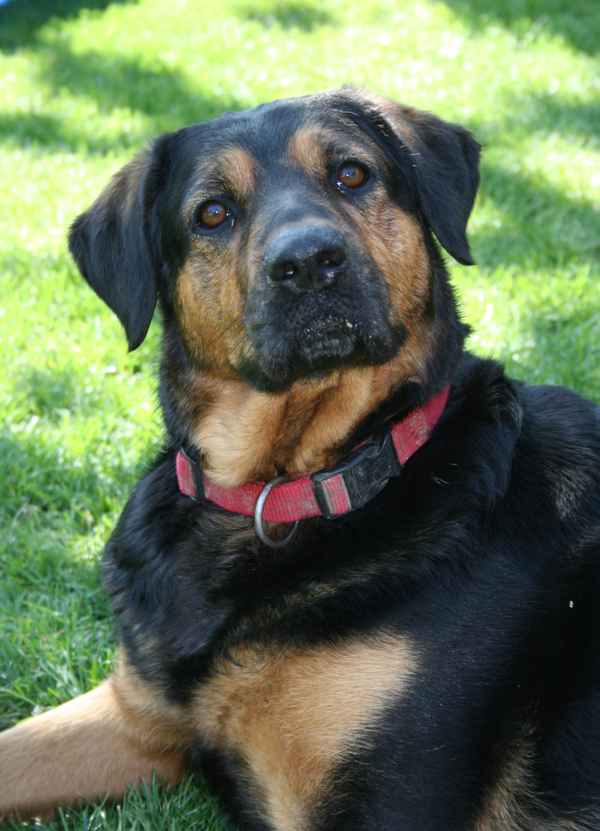 Hochspannung pur ...