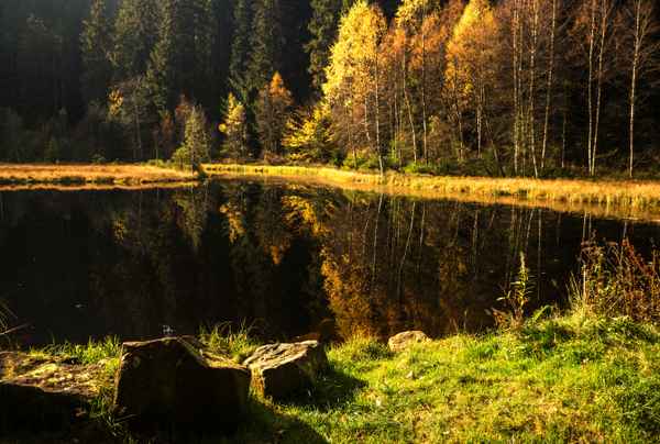 Ellbachsee Herbststimmung mit Stein 2