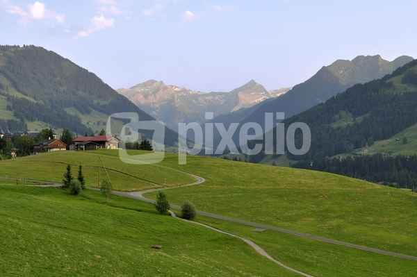 Saanenland