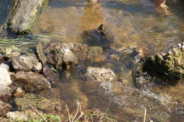 Steine unter klarer Flut
