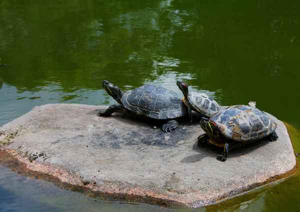 Das Trio vom Westpark 01