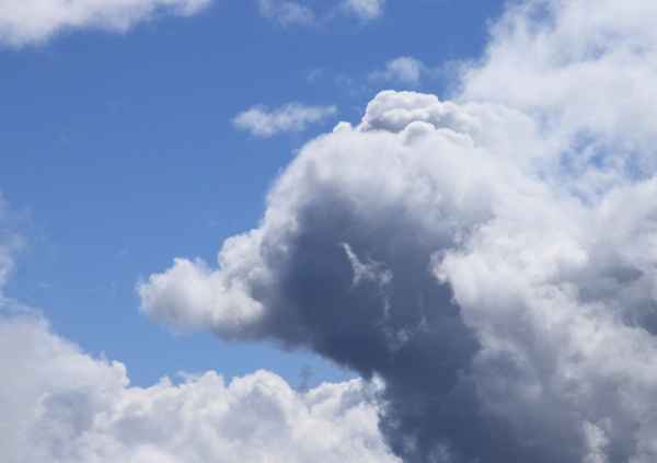Elefant am Himmel...