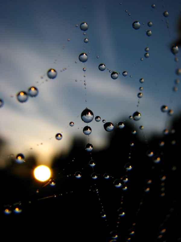  Abendsonne