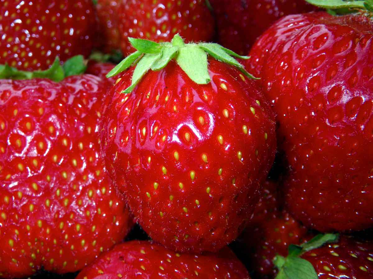 Die EINE .... unter sooo Vielen