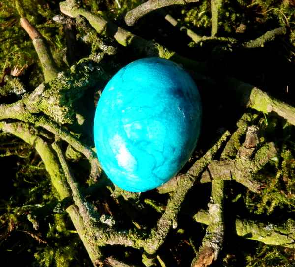 Osternest in blau