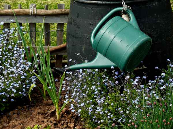 Im Garten - Gießkanne