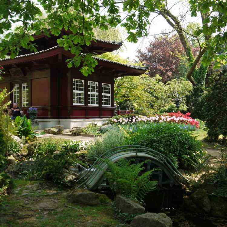 Japanischer Garten