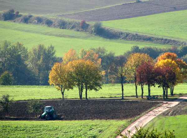 Ackerbau im Herbst