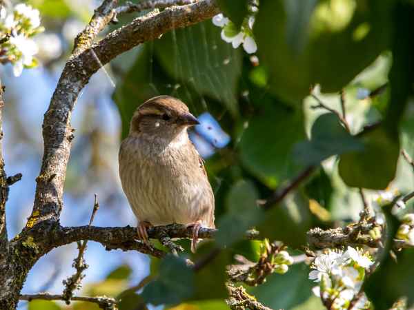 Warten aufs Rendezvous