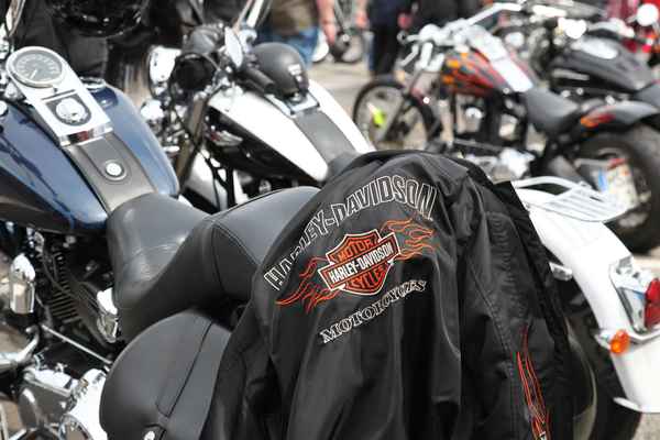 Harley Treffen