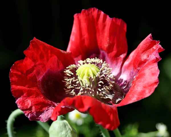 in sonne und wind