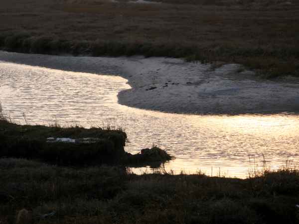 Gold spiegelt sich die Sonne im kleinen See