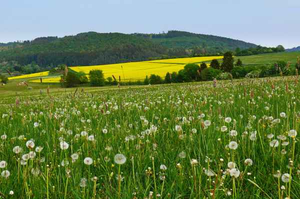 Kulturlandschaft im Frühling