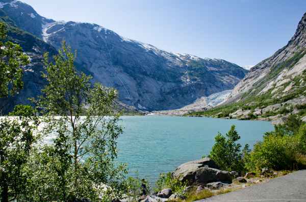 Nigardsbreen