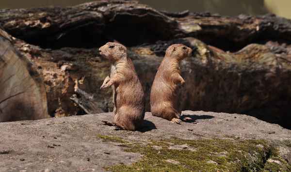 Von links kommt nix......von rechts auch nix