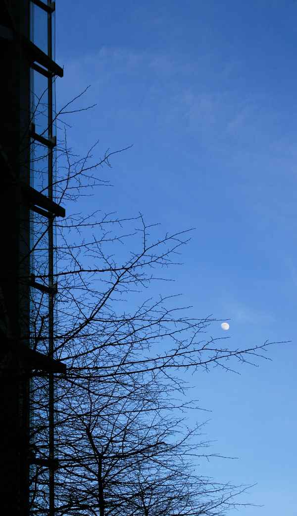 Potsdamer Platz am Abend 2