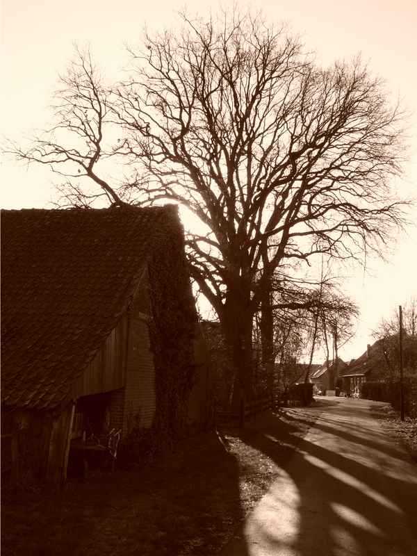 Frankenfeld1
