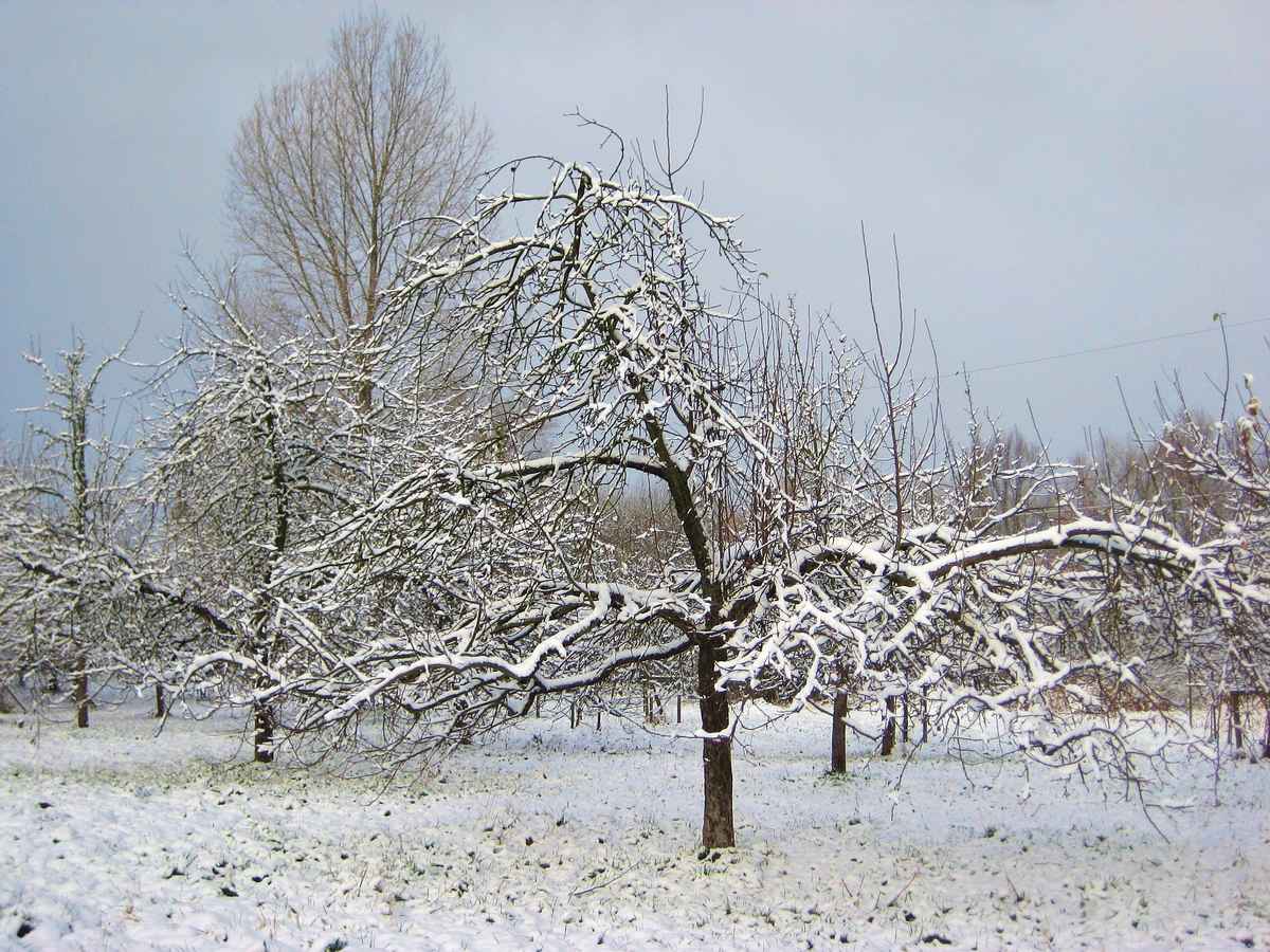 der Winter ist da