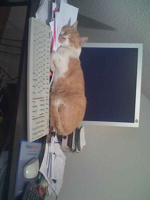 Mach mal Pause