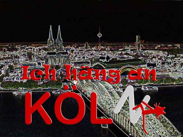 Katze Kittycat hängt an Köln