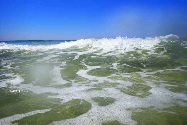 Contis Les Bains / 1