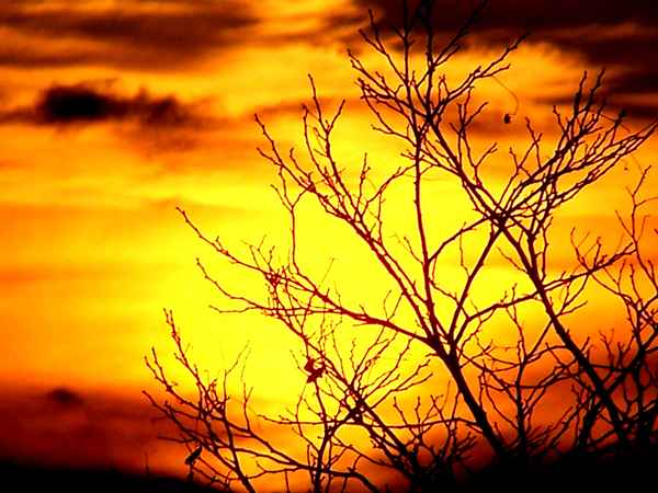Sonnenuntergang 5
