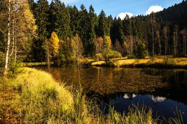 Ellbachsee Karsee im Herbst
