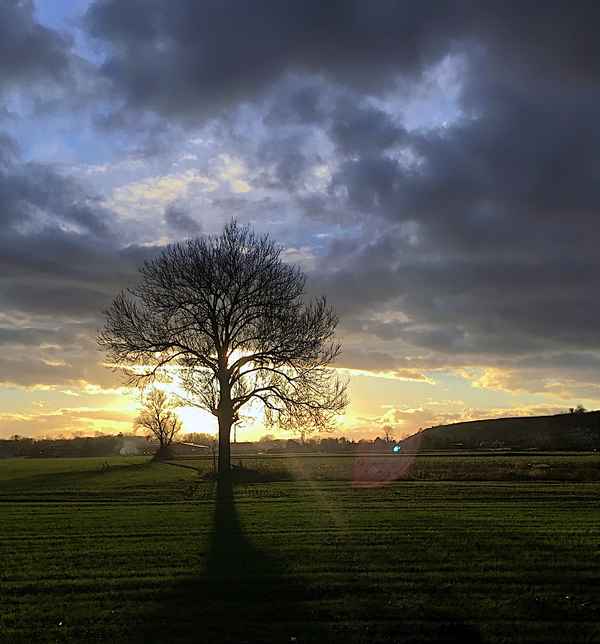Abendsonne, Richtung Wasenweiler-Ihringen