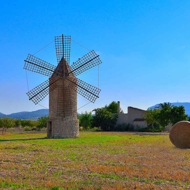 Windmühle Mallorca