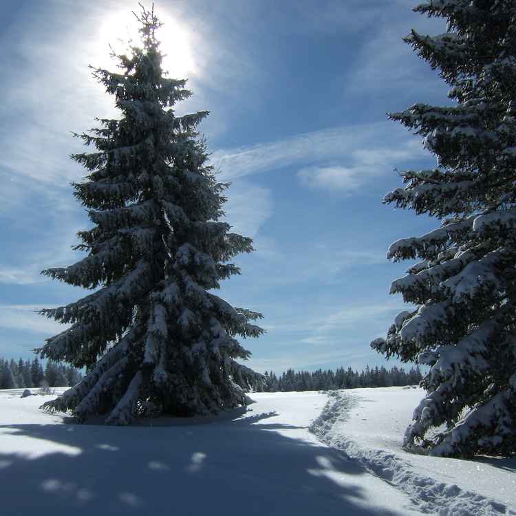 Postkartenwinter_hoch