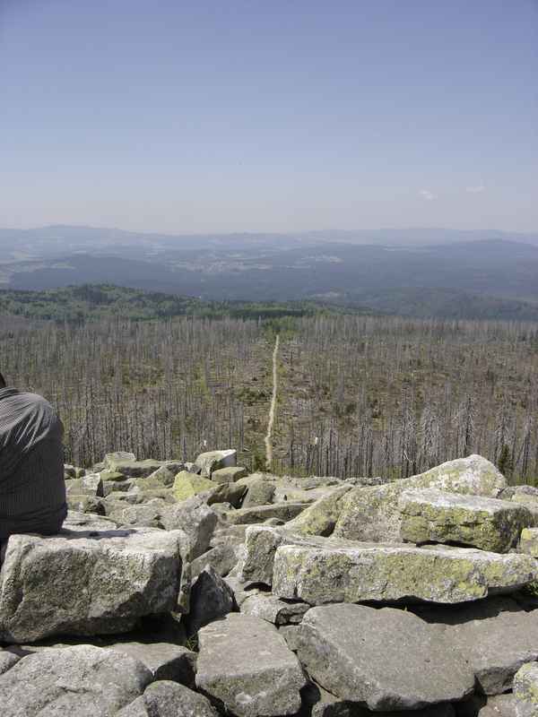 Lusen Bayrischer Wald