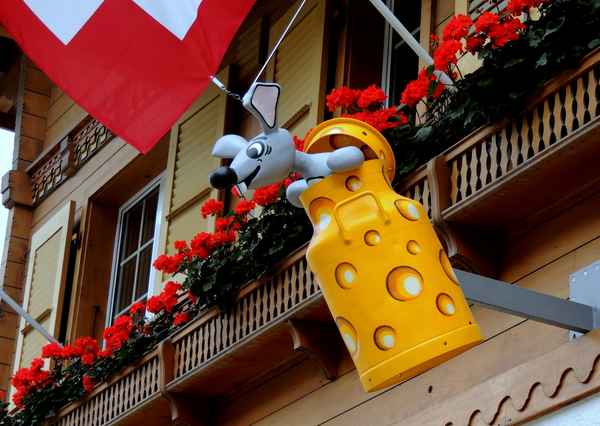 Maus im Emmentalerkäse