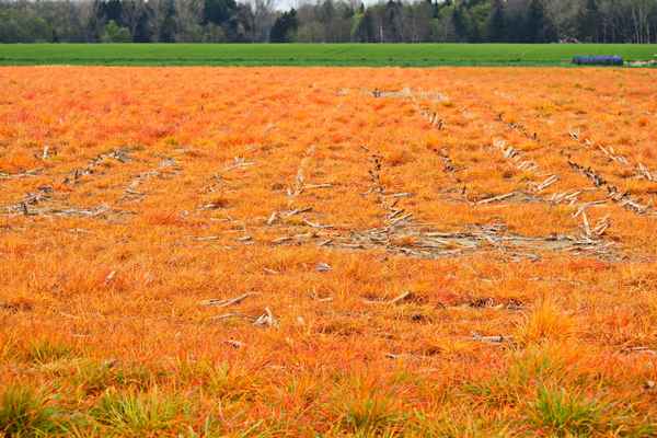gift für unser trinkwasser