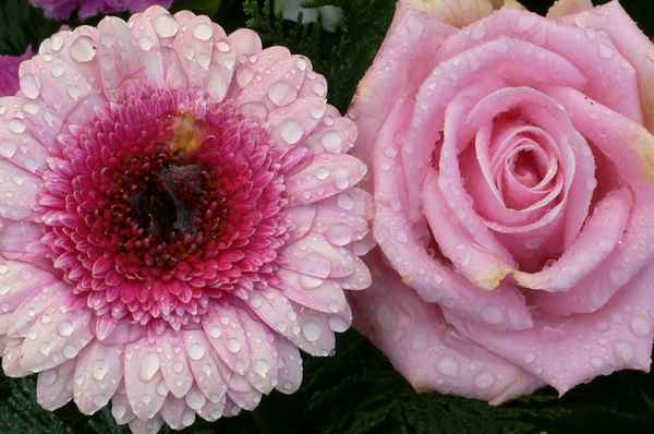 nicht mehr ganz frisch