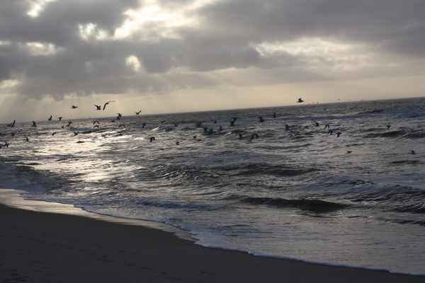 Am Ende des Sturms