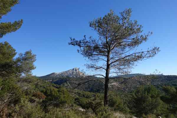 Bergkette St Victoire