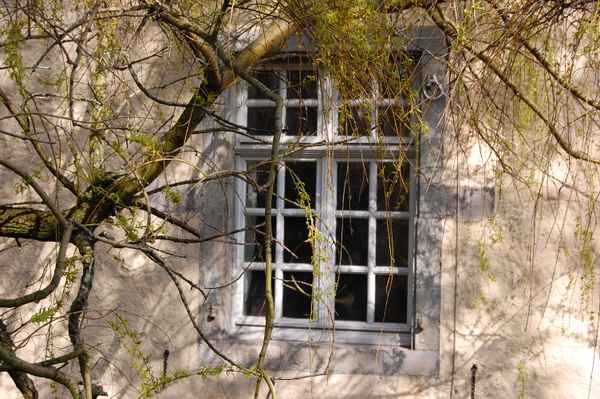 Fensterimpression