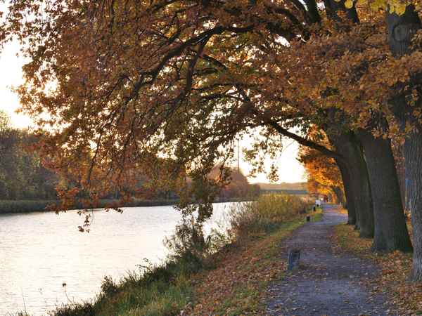 Goldener Herbst