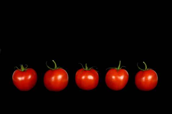 Tomaten 94