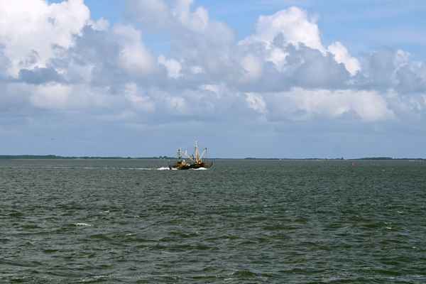 Fischkutter bei der Arbeit