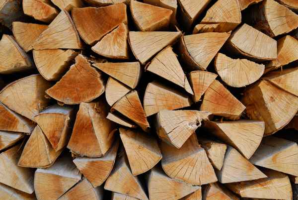 Brennholz1