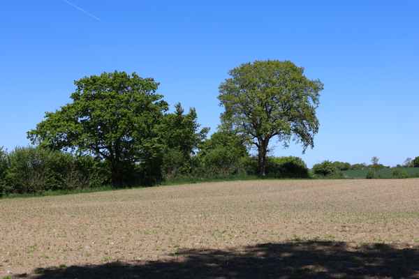 Landschaft im Fr&uuml;hling