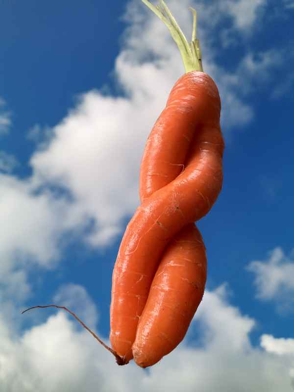 Himmlisches Gl&uuml;ck gemeinsam