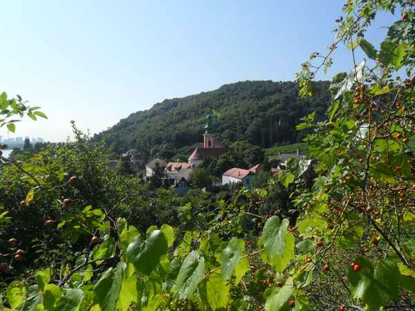 Kahlenbergerdorf vom Nasenweg aus