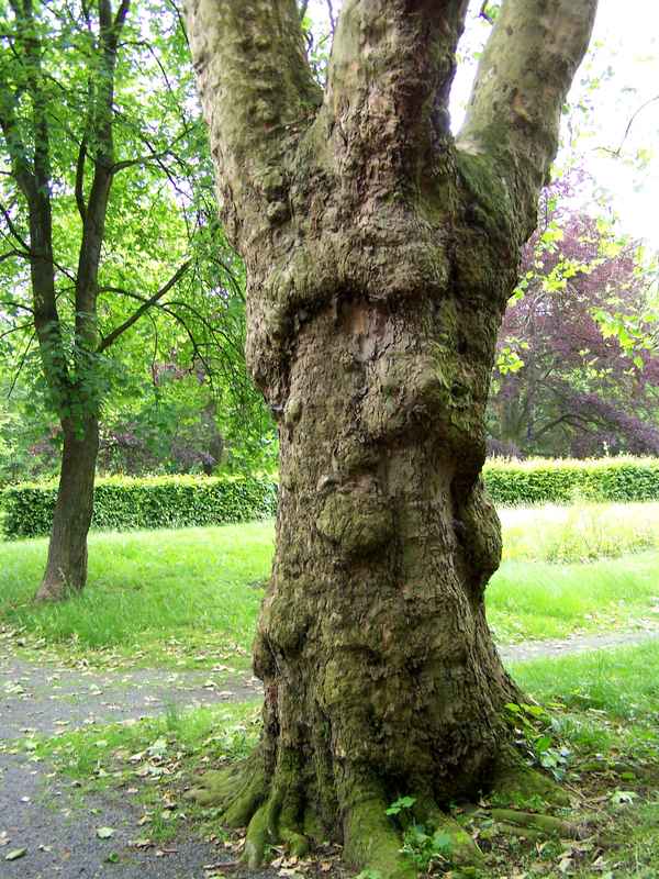 Vom Leben gezeichnet