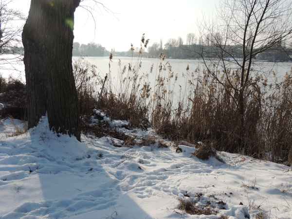 Dahmeufer im Winter 1
