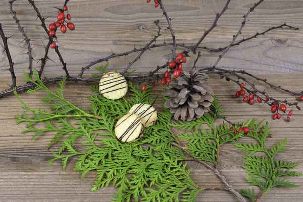 Kokostaler mit dunkler Schokolade