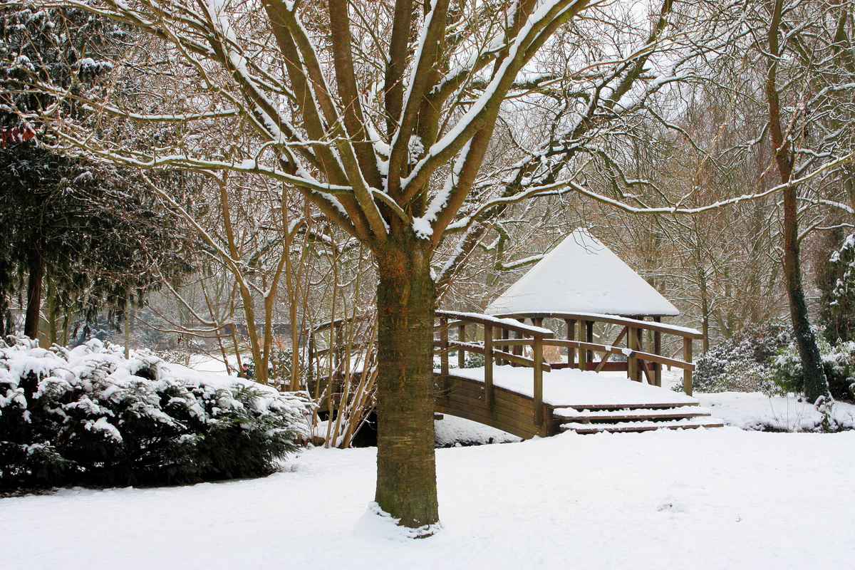 Winter im Park