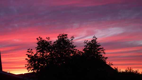 Abends