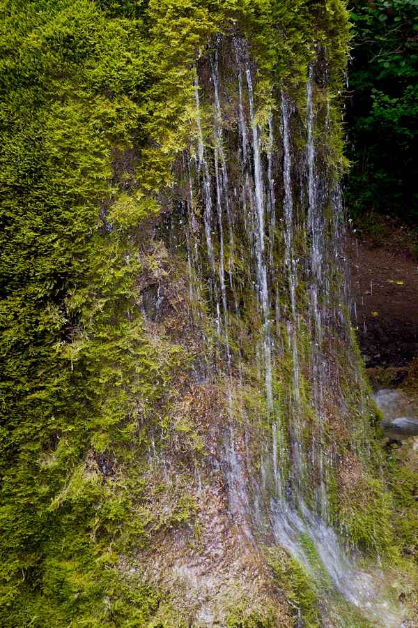 Naturdenkmal Dreimühlen-Waserfall bei Nohn (Vulkaneifel) #4